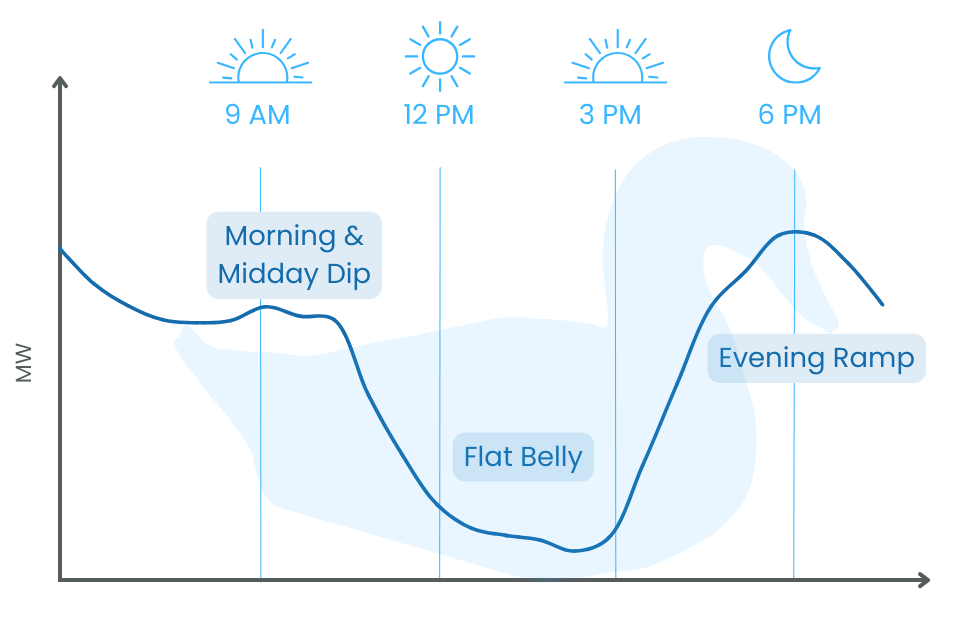 The duck curve